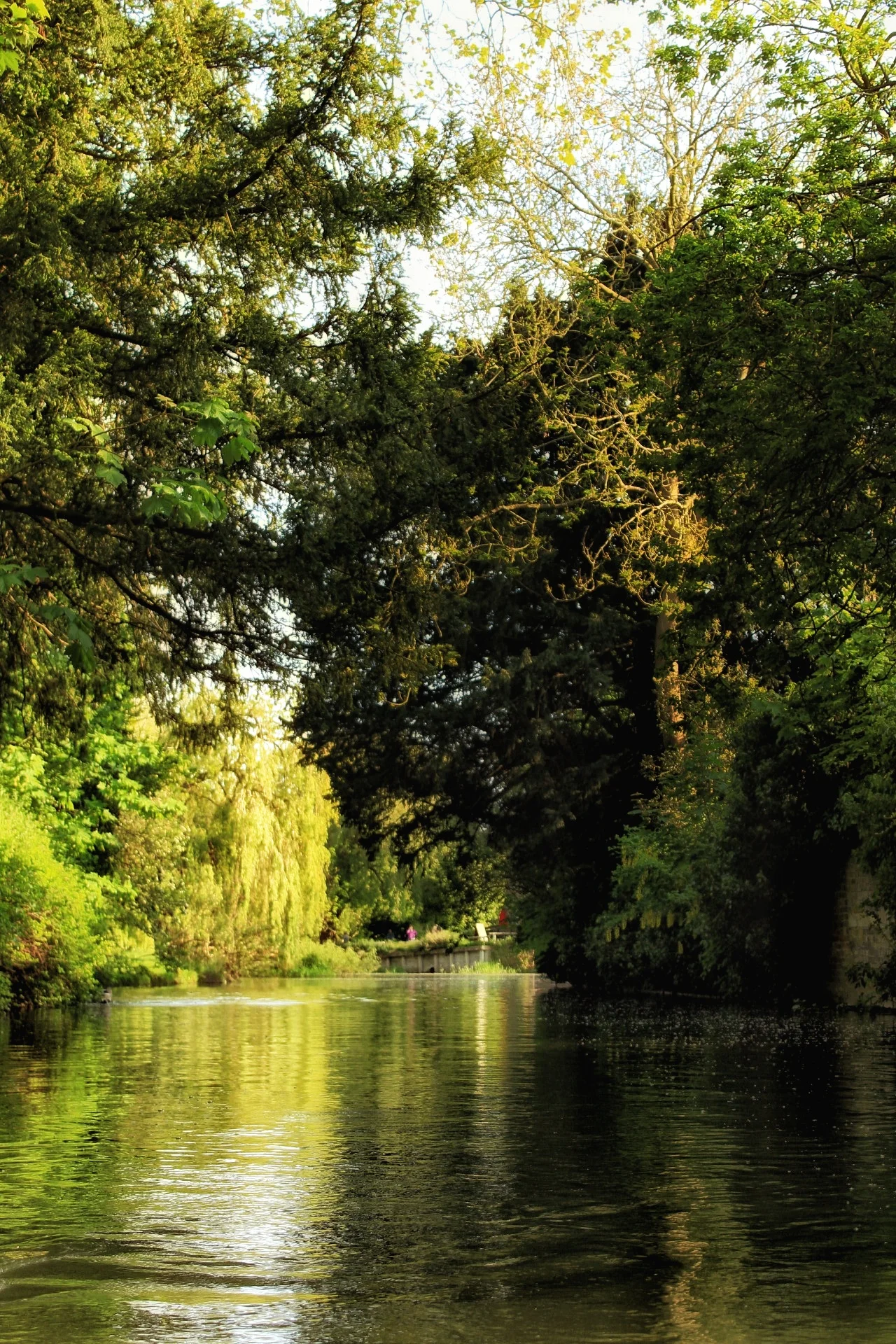 Cambridge 9